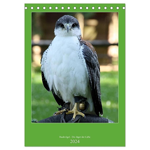 Raubvögel - Die Jäger der Lüfte (Tischkalender 2024 DIN A5 hoch), CALVENDO Monatskalender, Arno Klatt