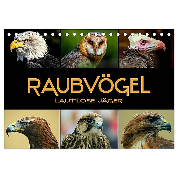 Raubvögel - lautlose Jäger (Tischkalender 2024 DIN A5 quer), CALVENDO Monatskalender, Renate Bleicher