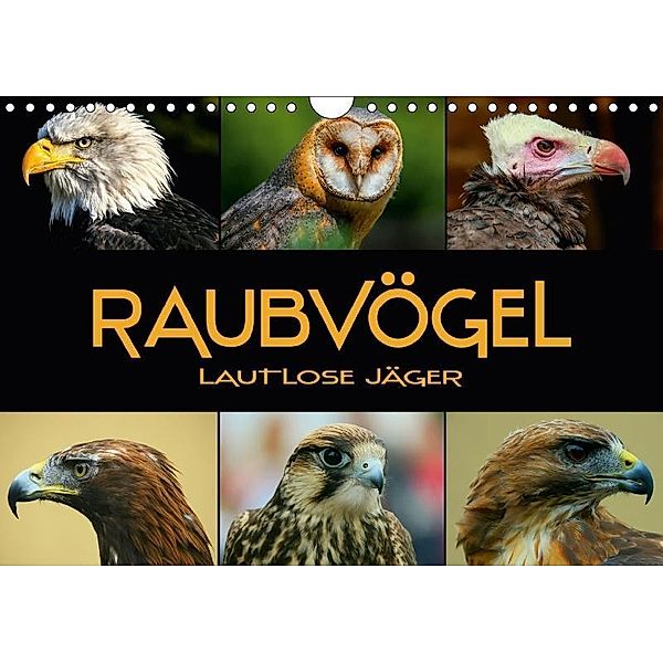 Raubvögel - lautlose Jäger (Wandkalender 2018 DIN A4 quer), Renate Bleicher