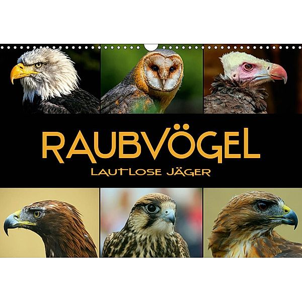 Raubvögel - lautlose Jäger (Wandkalender 2021 DIN A3 quer), Renate Bleicher