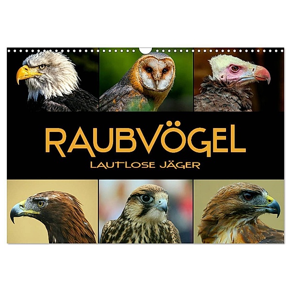 Raubvögel - lautlose Jäger (Wandkalender 2024 DIN A3 quer), CALVENDO Monatskalender, Renate Bleicher