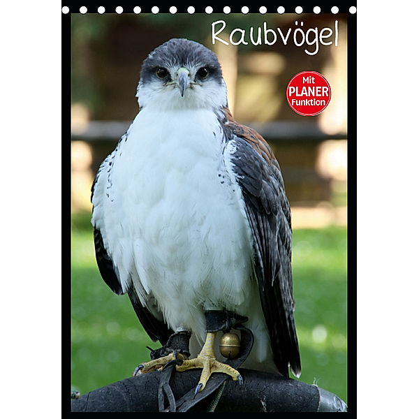 Raubvögel (Tischkalender 2019 DIN A5 hoch), Arno Klatt