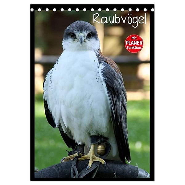 Raubvögel (Tischkalender 2024 DIN A5 hoch), CALVENDO Monatskalender, Arno Klatt