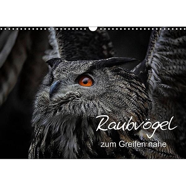 Raubvögel zum Greifen nahe (Wandkalender 2023 DIN A3 quer), Michael Milfeit