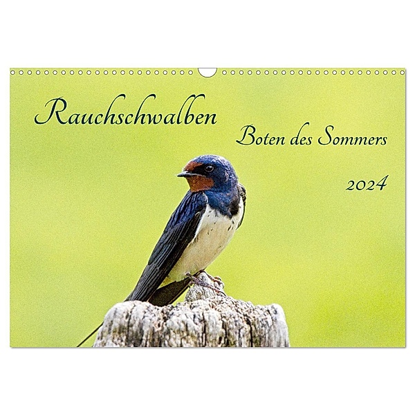 Rauchschwalben - Boten des Sommers (Wandkalender 2024 DIN A3 quer), CALVENDO Monatskalender, Kathrin Voss