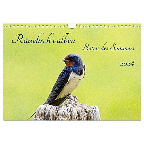 Rauchschwalben - Boten des Sommers (Wandkalender 2024 DIN A4 quer), CALVENDO Monatskalender, Kathrin Voss
