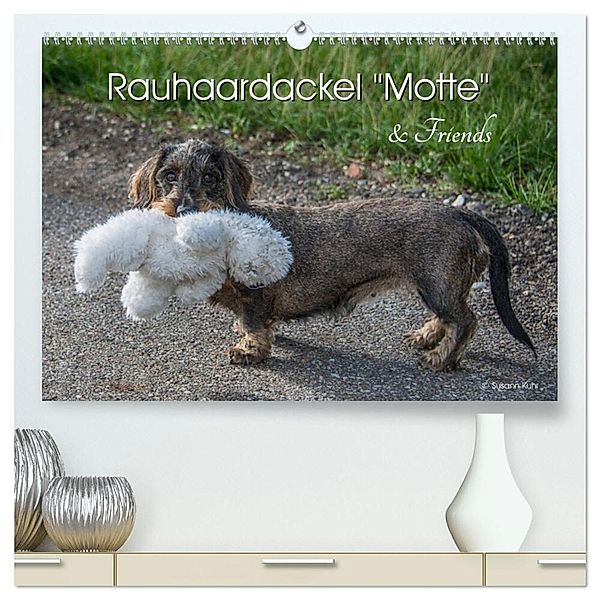 Rauhaardackel Motte & Friends (hochwertiger Premium Wandkalender 2024 DIN A2 quer), Kunstdruck in Hochglanz, Susann Kuhr