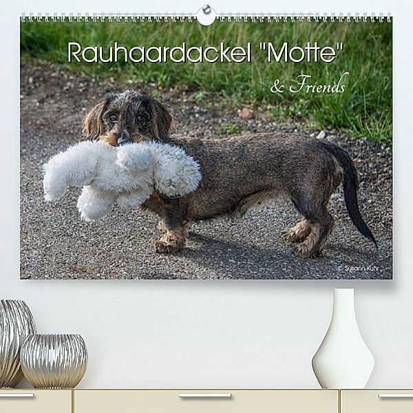 Rauhaardackel Motte & Friends (Premium, hochwertiger DIN A2 Wandkalender 2023, Kunstdruck in Hochglanz), Susann Kuhr