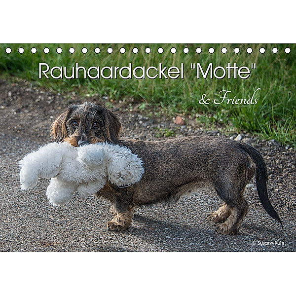 Rauhaardackel Motte & Friends (Tischkalender 2019 DIN A5 quer), Susann Kuhr