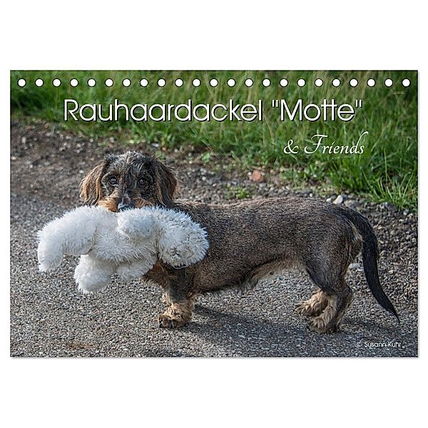 Rauhaardackel Motte & Friends (Tischkalender 2025 DIN A5 quer), CALVENDO Monatskalender, Calvendo, Susann Kuhr