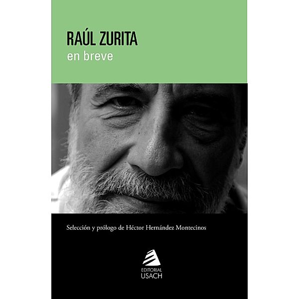 Raúl Zurita, Raúl Zurita