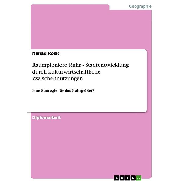 Raumpioniere Ruhr - Stadtentwicklung durch kulturwirtschaftliche Zwischennutzungen, Nenad Rosic