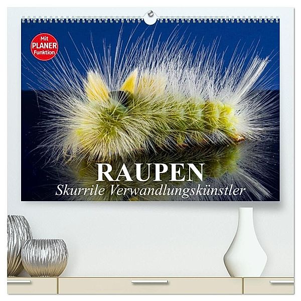 Raupen. Skurrile Verwandlungskünstler (hochwertiger Premium Wandkalender 2024 DIN A2 quer), Kunstdruck in Hochglanz, Elisabeth Stanzer