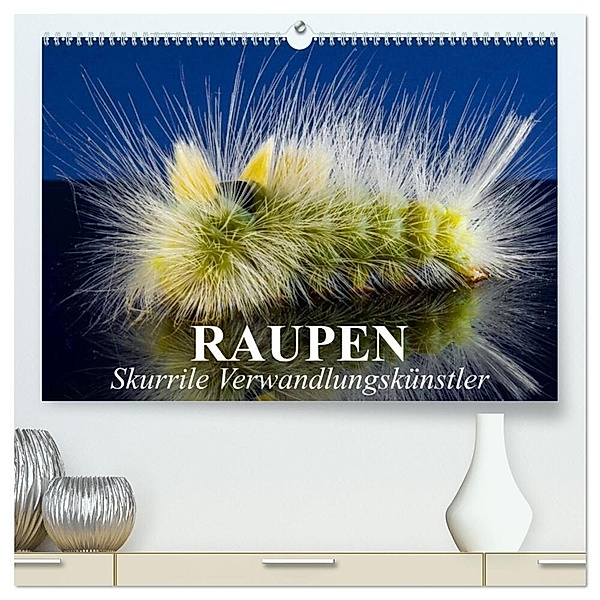 Raupen - Skurrile Verwandlungskünstler (hochwertiger Premium Wandkalender 2024 DIN A2 quer), Kunstdruck in Hochglanz, Elisabeth Stanzer