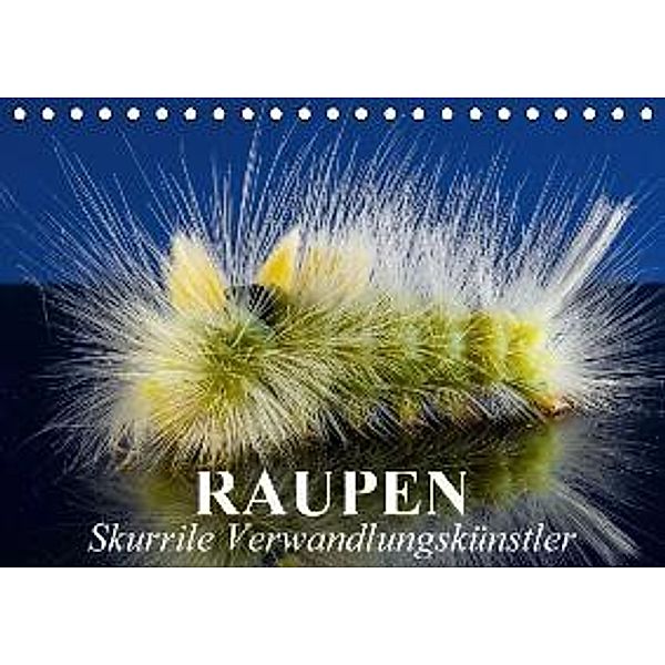 Raupen - Skurrile Verwandlungskünstler (Tischkalender 2015 DIN A5 quer), Elisabeth Stanzer