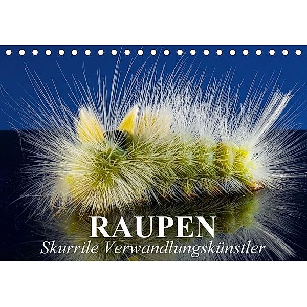 Raupen - Skurrile Verwandlungskünstler (Tischkalender 2017 DIN A5 quer), Elisabeth Stanzer