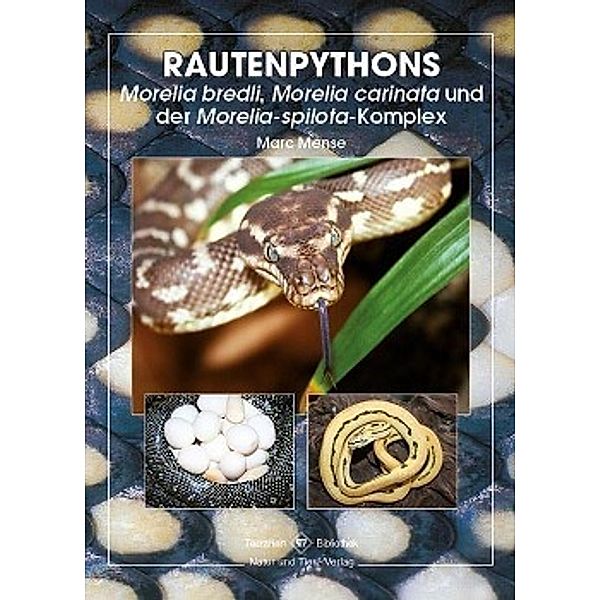 Rautenpythons, Marc Mense