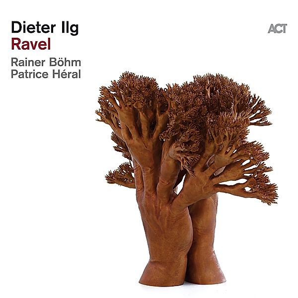 Ravel (Gatefold 180g Black 2lp) (Vinyl), Dieter Ilg Trio