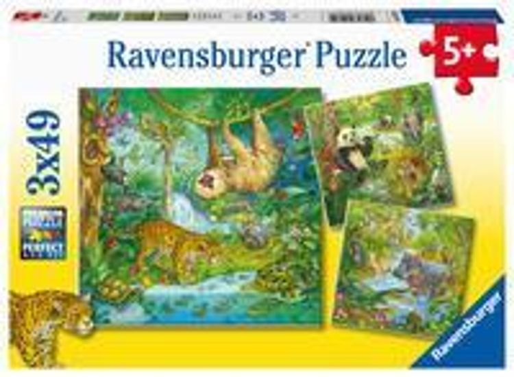 Ravensburger Kinderpuzzle - 05180 Im Urwald - Puzzle für Kinder ab 5  Jahren, mit 3x49 Teilen | Weltbild.ch
