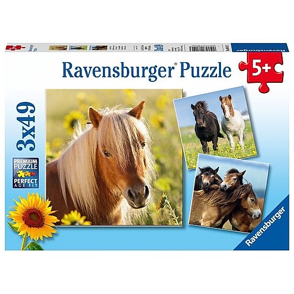 Ravensburger Verlag Ravensburger Kinderpuzzle - 08011 Liebe Pferde - Puzzle für Kinder ab 5 Jahren, Puzzle mit 3x49 Teilen