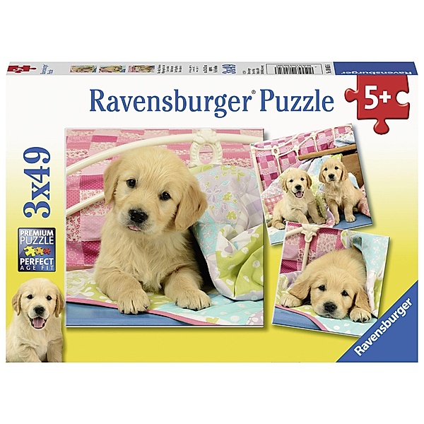 Ravensburger Kinderpuzzle - 08065 Kuschelige Hündchen - Puzzle für Kinder ab 5 Jahren, mit 3x49 Teilen