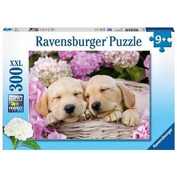 Ravensburger Kinderpuzzle - 13235 Süße Hunde im Körbchen - Hunde-Puzzle für Kinder ab 9 Jahren, mit 300 Teilen im XXL-Fo
