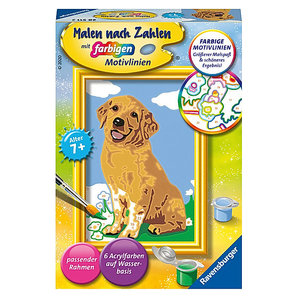 Ravensburger Verlag Ravensburger Malen nach Zahlen 28511 - Kleiner Golden Retriever- Kinder ab 7 Jahren