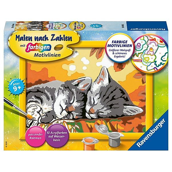 Ravensburger Malen nach Zahlen 28696 - Kätzchen im Herbst - Kinder ab 9 Jahren