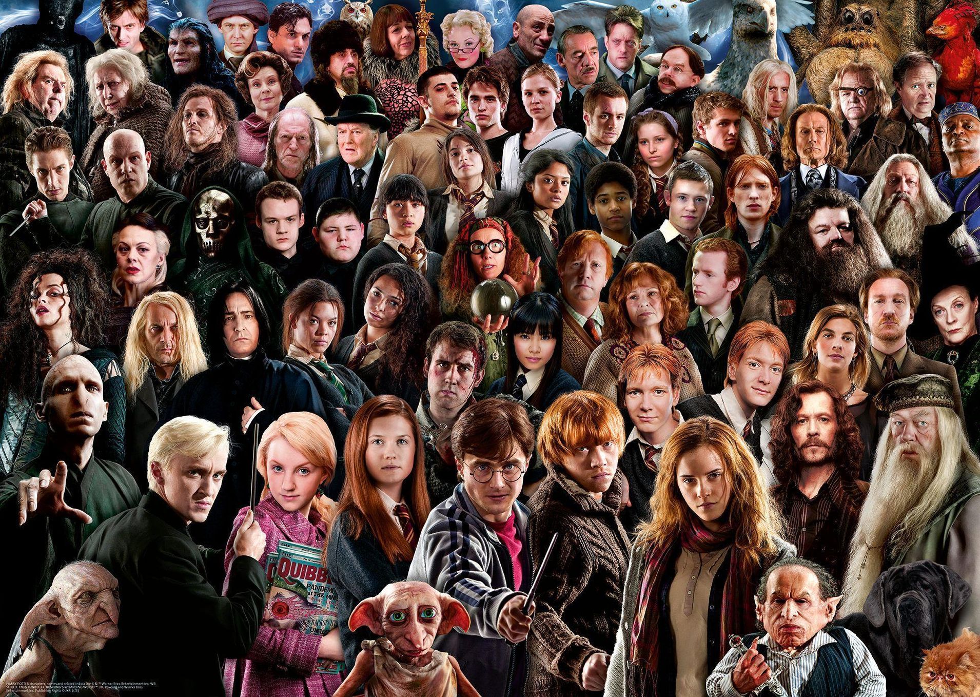 Ravensburger Puzzle 1000 Teile Harry Potter - Über 70 Charaktere aus der  zauberhaften Welt von Hogwarts auf einem Puzzle | Weltbild.at