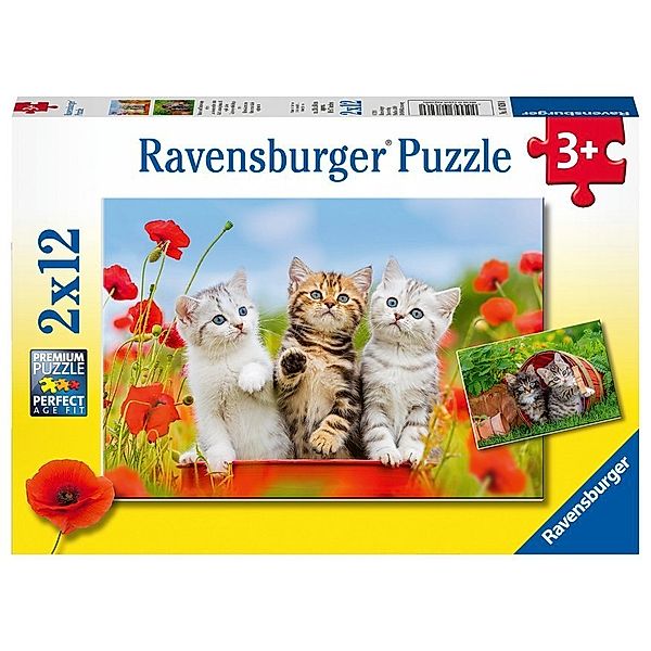Ravensburger Verlag Ravensburger Puzzle - Ravensburger Kinderpuzzle - 07626 Katzen auf Entdeckungsreise - Puzzle für Kinder ab 3 Jahren, mit 2x12 Teilen