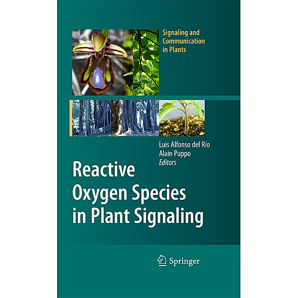 Reactive Oxygen Species in Plant Signaling