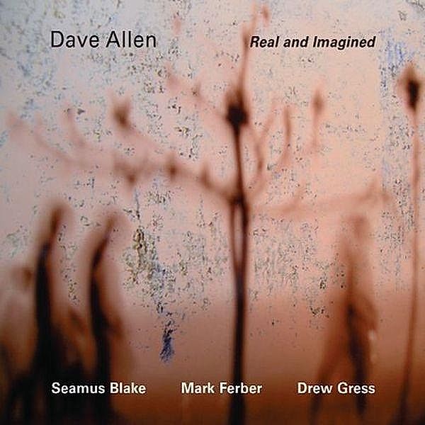 Real And Imagined, Dave Allen Quartet