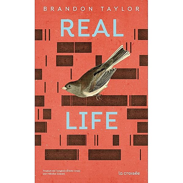 Real Life / La Croisée, Brandon Taylor