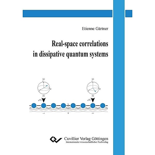 Real-space correlations in dissipative quantum systems