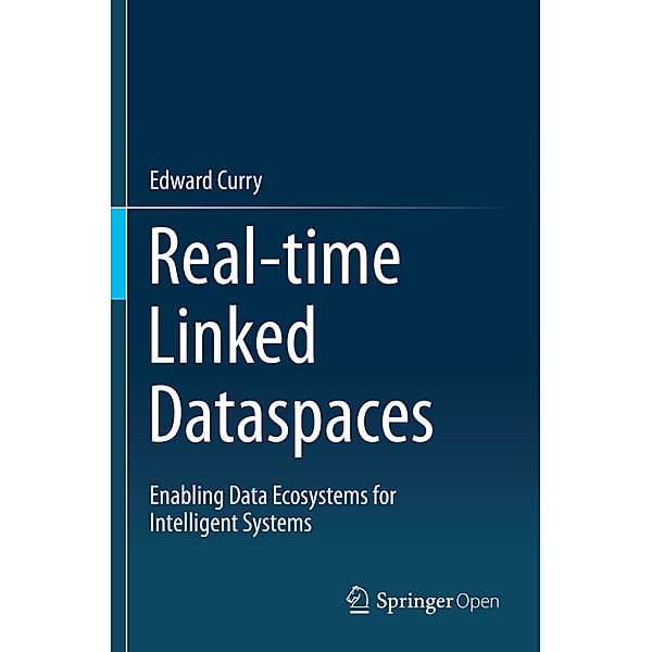 Real-time Linked Dataspaces, Edward Curry