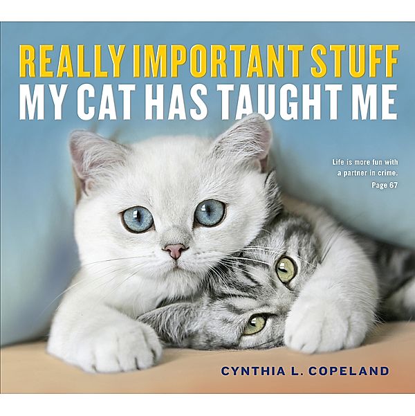 Really Important Stuff My Cat Has Taught Me, Cynthia L. Copeland