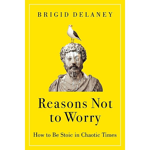 Reasons Not to Worry, Brigid Delaney