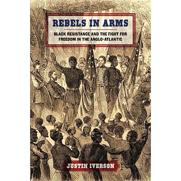 Rebels in Arms / Early American Places Ser. Bd.24, Justin Iverson