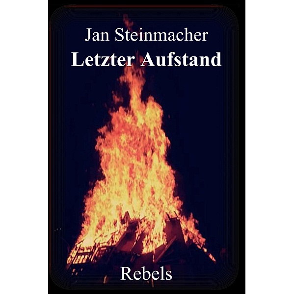 Rebels - Letzter Aufstand / Rebels Bd.3, Jan Steinmacher