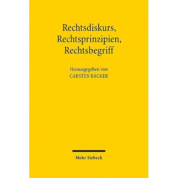 Rechtsdiskurs, Rechtsprinzipien, Rechtsbegriff