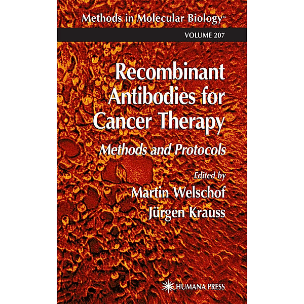 Recombinant Antibodies for Cancer Therapy
