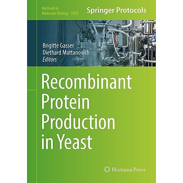 Recombinant Protein Production in Yeast / Methods in Molecular Biology Bd.1923