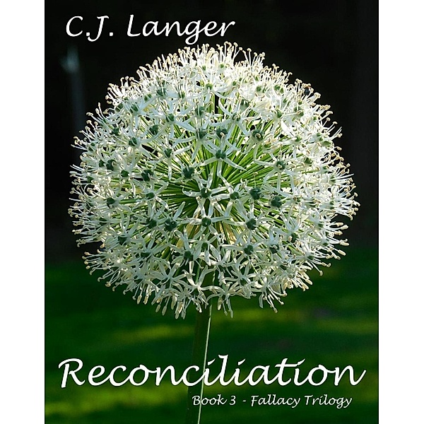 Reconciliation, C. J. Langer