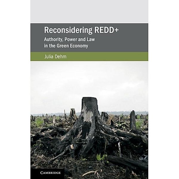 Reconsidering REDD+ / Cambridge Studies on Environment, Energy and Natural Resources Governance, Julia Dehm