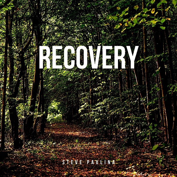 Recovery, Steve Pavlina