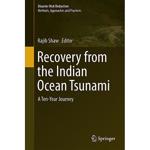 Recovery from Indian Ocean Tsunami