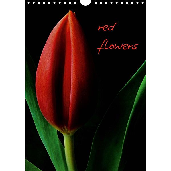 red flowers (Wandkalender 2021 DIN A4 hoch), Anja Otto