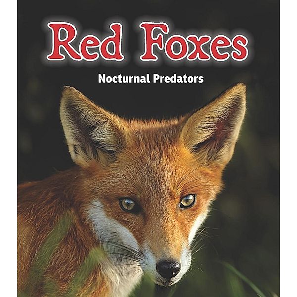 Red Foxes / Raintree Publishers, Rebecca Rissman