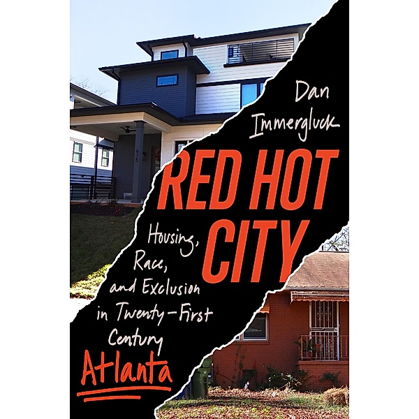 Red Hot City, Dan Immergluck