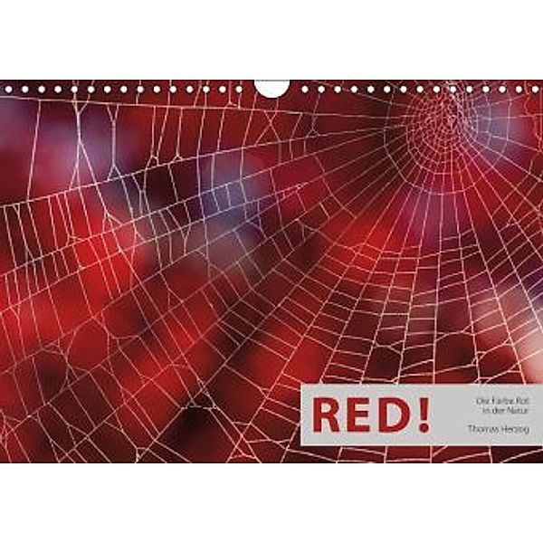 RED! (Wandkalender 2016 DIN A4 quer), Thomas Herzog